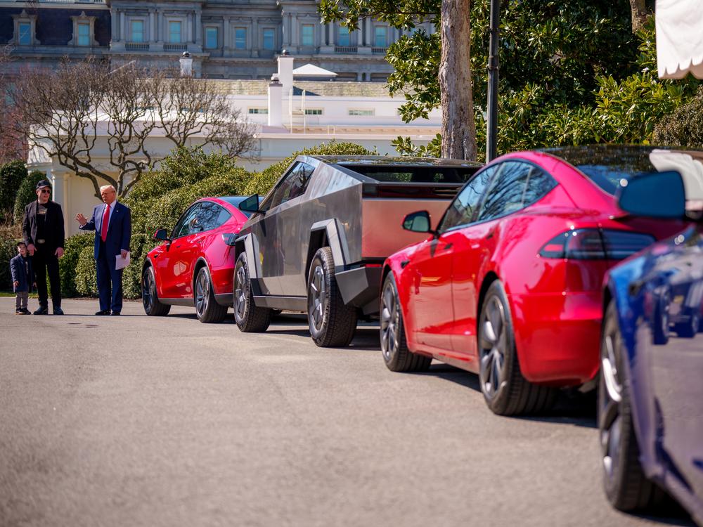 President Trump, accompanied by Tesla CEO Elon Musk and his son X Æ A-Xii, speaks next to a line of Tesla vehicles on the South Lawn of the White House on Tuesday. Trump said he would purchase a Tesla vehicle in what he calls a 