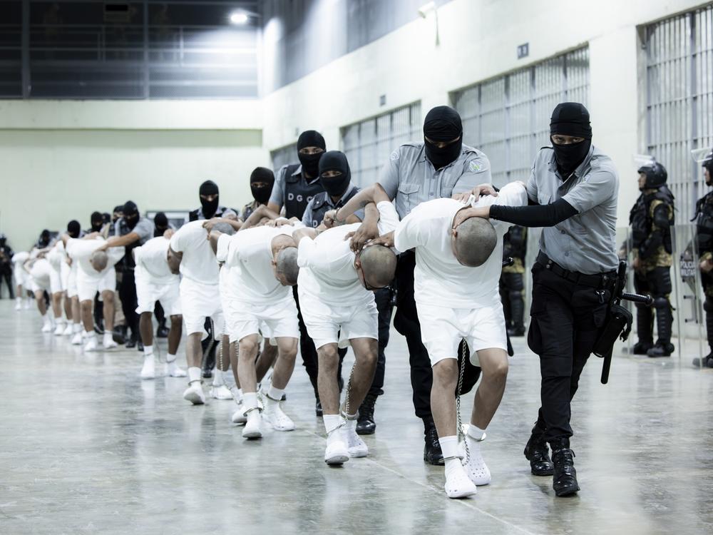 In this photo provided by El Salvador's presidential press office, prison guards transfer deportees from the U.S., alleged to be Venezuelan gang members, to the Terrorism Confinement Center in Tecoluca, El Salvador, Sunday, March 16, 2025.