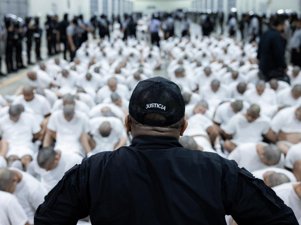 About 250 suspected gang members arrive in El Salvador by plane in this photo from Sunday, including 238 members of Venezuela's Tren de Aragua gang and 23 members of the MS-13 gang, who were deported to El Salvador by the U.S.. El Salvador's President Nayib Bukele confirmed they will be sent to the country's mega-prison CECOT, the Terrorism Confinement Center.