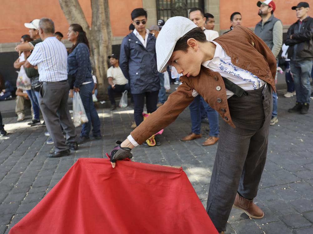 A young supporter of bullfighting joins a demonstration in support of bullfighting outside Mexico City's Congress where lawmakers are expected to debate its continuation in Mexico City on Tuesday.