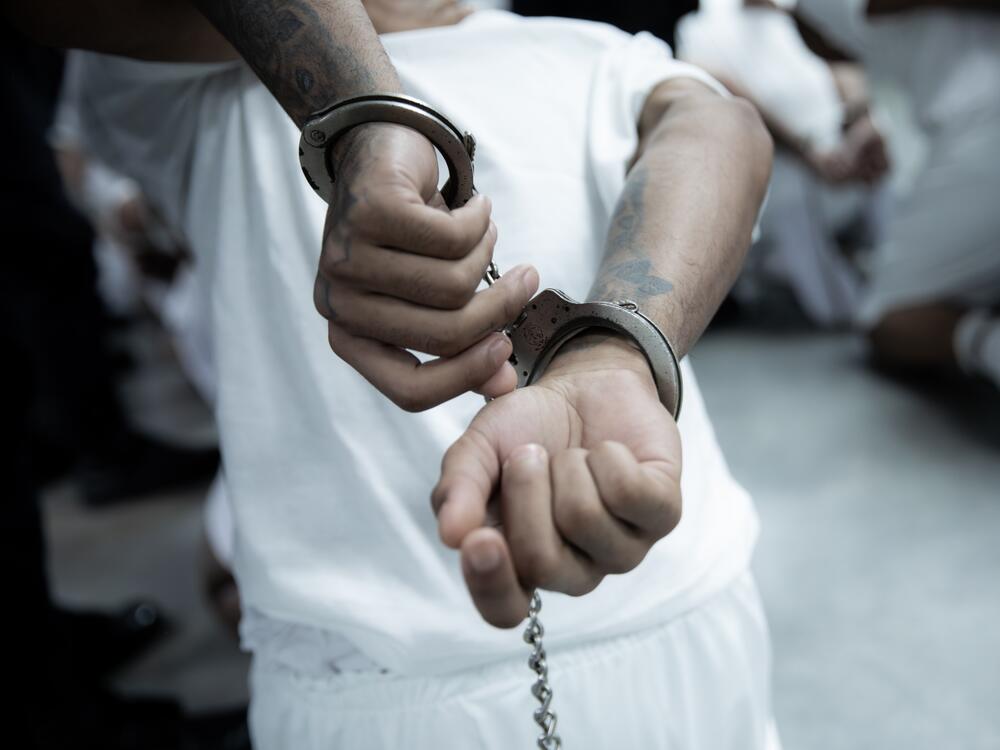 The Trump administration deported hundreds of alleged members of the Tren De Aragua and Mara Salvatrucha gangs to El Salvador over the weekend.