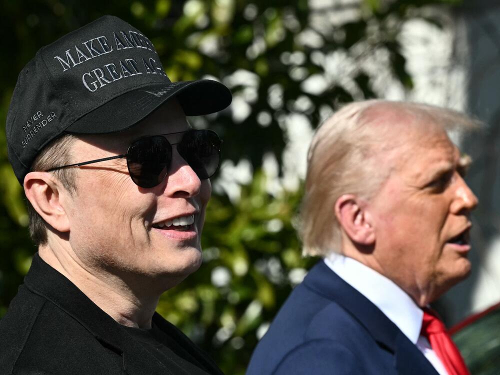 President Donald Trump and Tesla CEO Elon Musk speak to the press at the White House on March 11