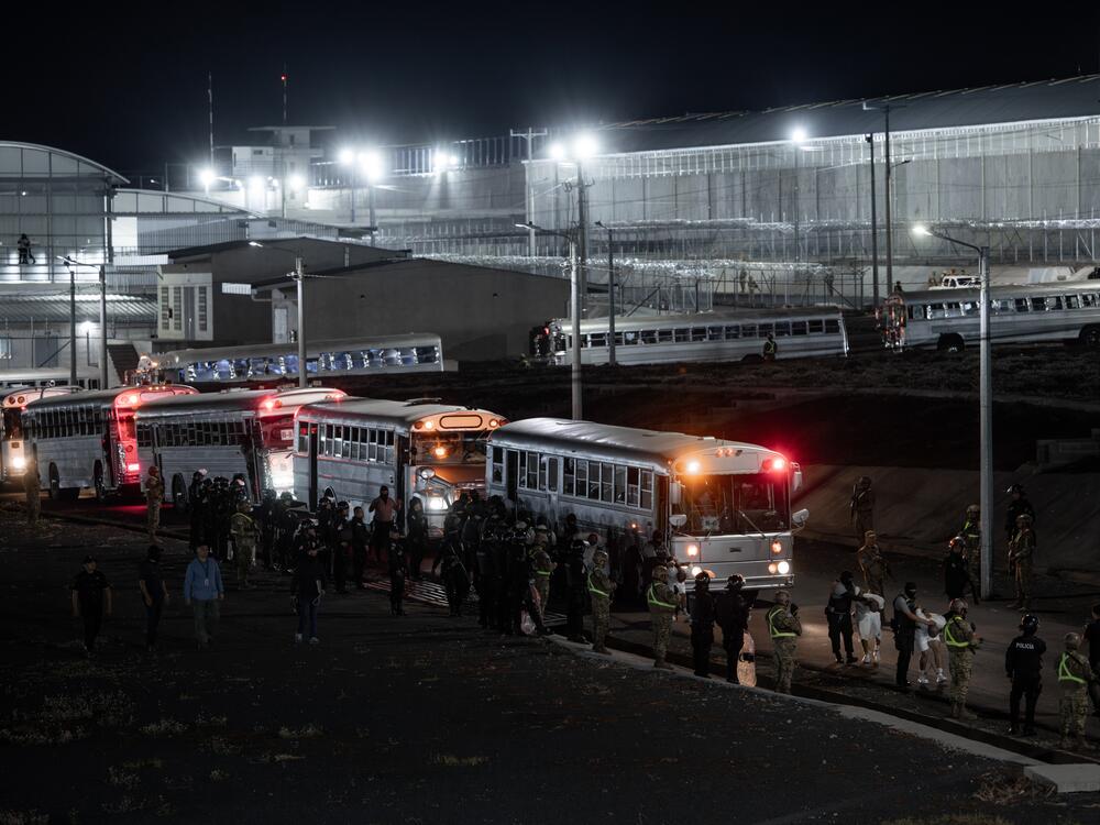 More than 250 people the U.S. government says are foreign gang members arrived in El Salvador by plane on March 16, where El Salvador's President Nayib Bukele confirmed they will be sent to the country's mega-prison CECOT.