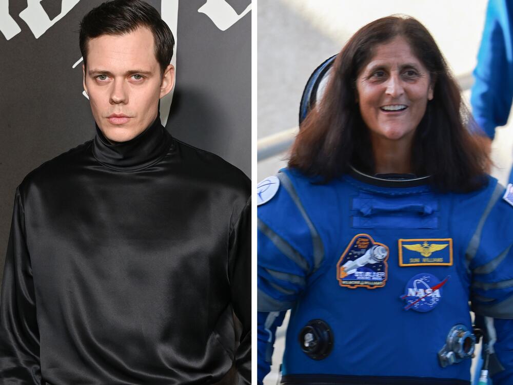 From left: Liberty Enlightening the World, Bill Skarsgård, Sunita Williams (before her ISS sojourn).
