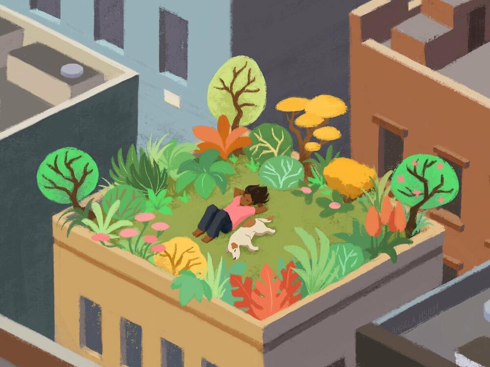 Researchers say there's growing evidence that nature has a powerful effect on us, improving both our physical and psychological health.