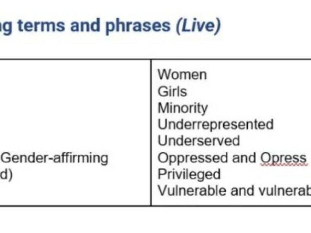 In a screenshot of a since-rescinded document, obtained by NPR, titled 