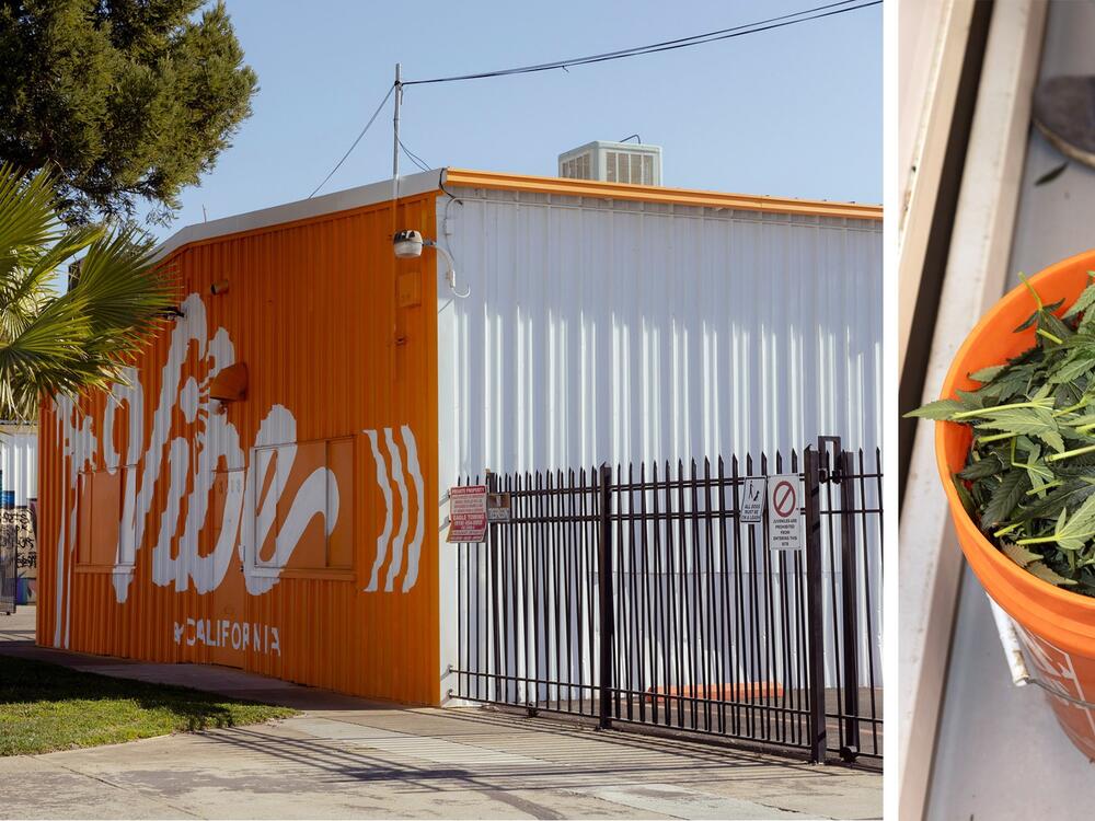 Left: Vibe Cultivators cheerful exterior. Right: Cody Daniel defoliates cannabis plants inside Vibe Cultivators.<br>