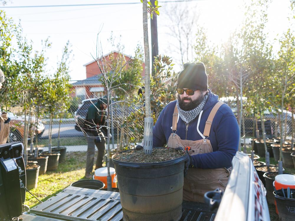 Volunteer James Herman gets ready to plant a tree in New Orleans' Lower 9th Ward in January. The project was one of about a hundred nationwide chosen by the U.S. Forest Service and the Arbor Day Foundation to receive funding under a $75 million federal grant.