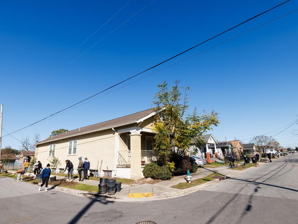Volunteers planted trees in January in the Lower 9th Ward of New Orleans. Trees can help protect neighborhoods from extreme heat and air pollution.