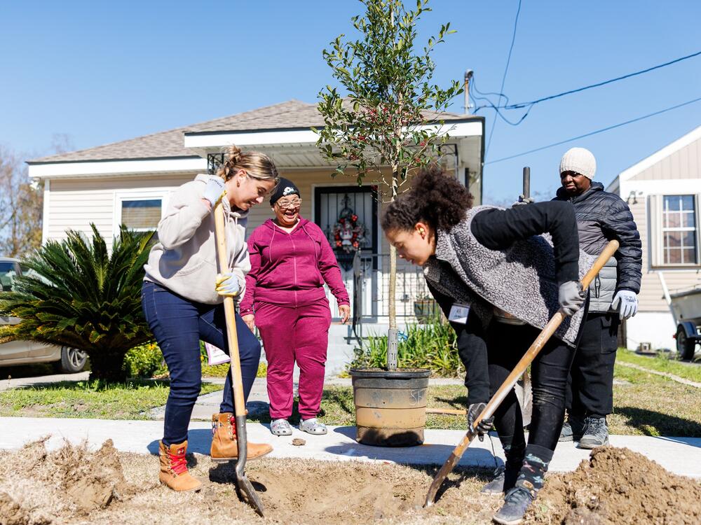 Volunteers Olly De Almeida (left), Jordan Bordenave (right) and Rosemary White (far right) plant a tree in front of Tribble Condor's (center) house in New Orleans' Lower 9th Ward. The project was funded by a federal grant terminated in February.
