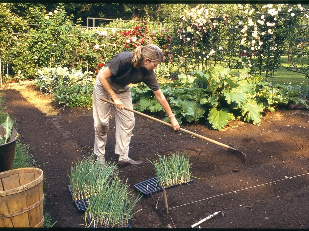 Martha Stewart working the soil at her Turkey Hill garden in circa 1988 in Westport, Conn.