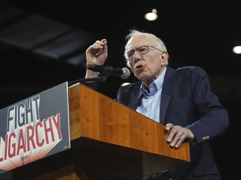 Sen. Bernie Sanders, I-Vt., speaks during a 