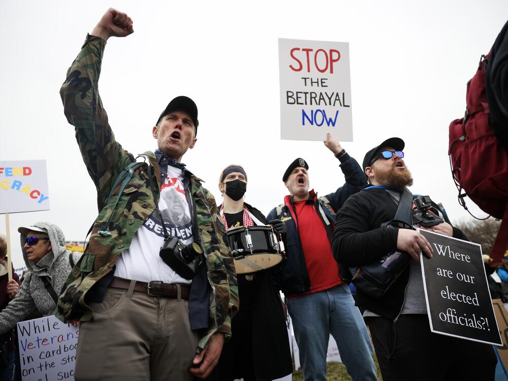 Veterans marched in on the National Mall in D.C. on March 14 to protest President Trump and Elon Musk's plans to cut more than 70,000 workers from the Department of Veterans Affairs.