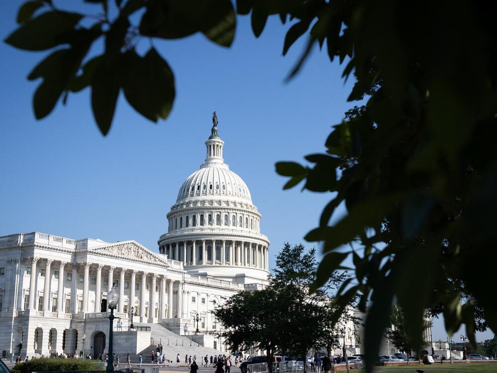 The 118th body of Congress was elected in 2022 and served from 2023 until 2025.