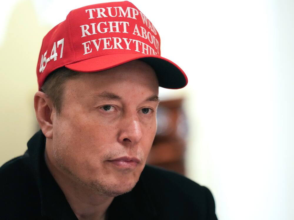 White House adviser Elon Musk at a Cabinet meeting at the White House on Monday. Musk, who is also the CEO of SpaceX and Tesla, is leading the Department of Government Efficiency effort that is trying to get access to data from across the government to find waste, fraud and abuse.