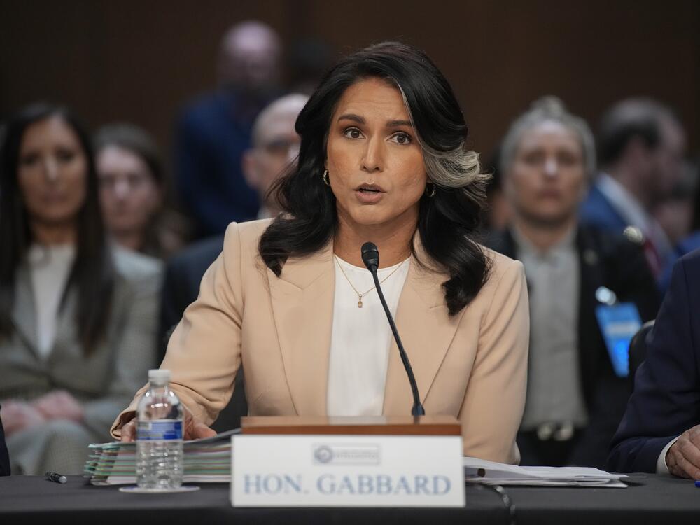 WASHINGTON, DC - MARCH 25:   Director of National Intelligence Tulsi Gabbard appeared during a Senate Committee on Intelligence Hearing on March 25, 2025 in Washington, DC.  Despite a decline in fentanyl overdose deaths, her team ranked smuggling and drug cartels as top threats to U.S. security.