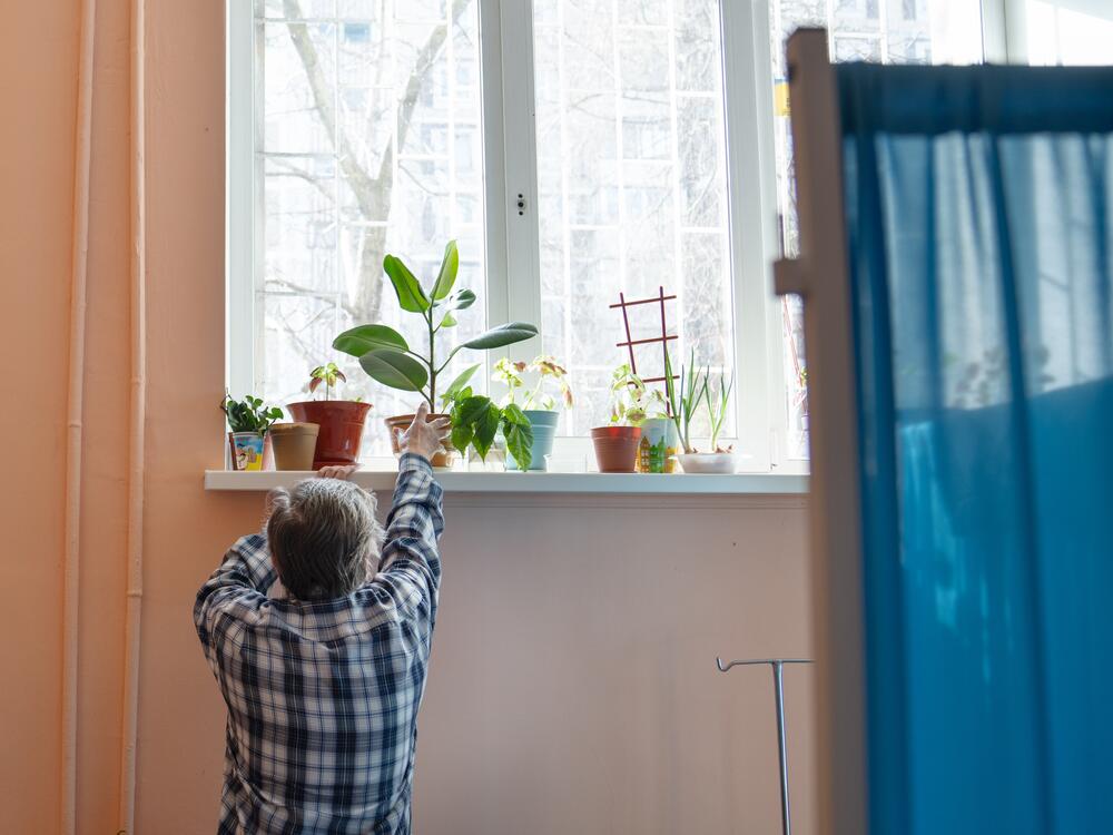 Halyna Zayceva tends to plants along the windowsill at the ARTAK shelter.