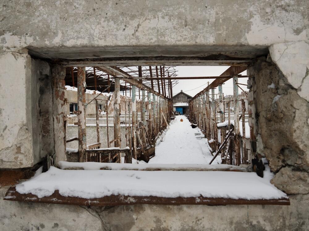 The day Lubov Zlobina's swine barn burned in 2022, she says people heard her screaming in the village nearby, and she had to explain. 