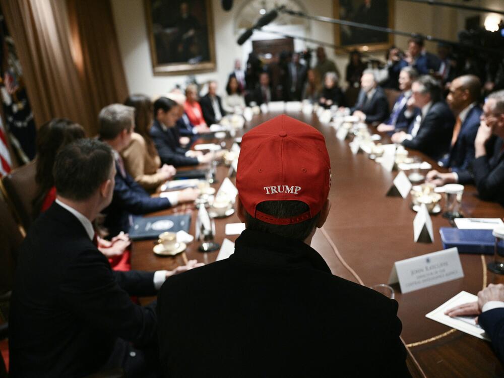 Elon Musk, wearing a red hat, looks on as President Donald Trump hosts a cabinet meeting at the White House on March 24.