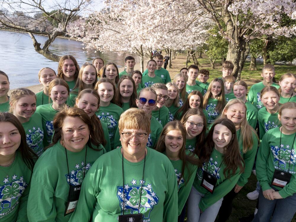 Michele Kelly, middle, from Iowa, visited the cherry blossoms with her 4-H group.