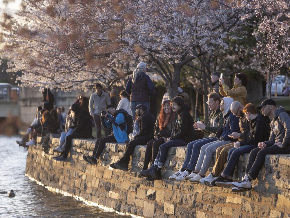 People relax on the edge of the Tidal Basin and take in the last rays of sunlight.