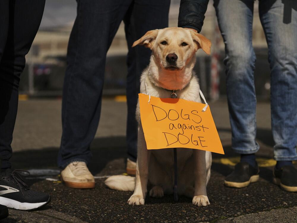 Six-month-old Eddy wears a 