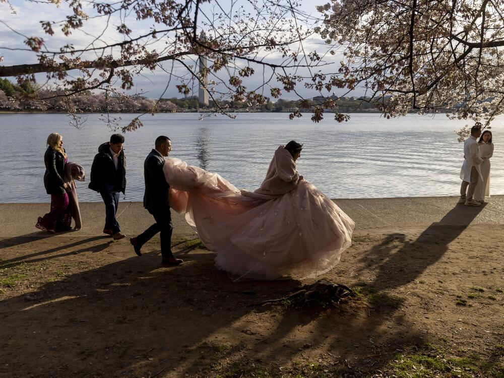 Gabriella Cardenas of North Potomac, Md., wears her quinceañera dress as she and her father, Boris Cardenas (holding dress), brother Jason Cardenas and mother Patty Cardenas move to a new spot along the Tidal Basin for a photo.