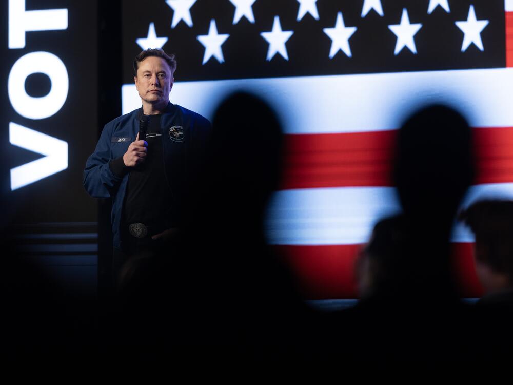 Recent court filings have shed more light on Elon Musk's Department of Government Efficiency within the Trump administration.