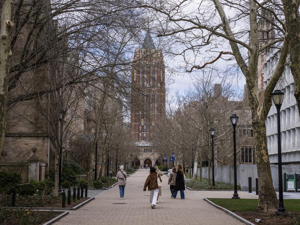 Alexander Walk at Yale University campus in New Haven, Connecticut, U.S., on April 7, 2024.