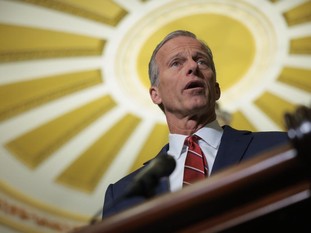 Senate Majority Leader John Thune, R-S.D., speaks to reporters at the U.S. Capitol on Tuesday. Senate Republicans have unveiled a budget blueprint they hope to pass as they look to enact key elements of President Trump's domestic policy agenda.