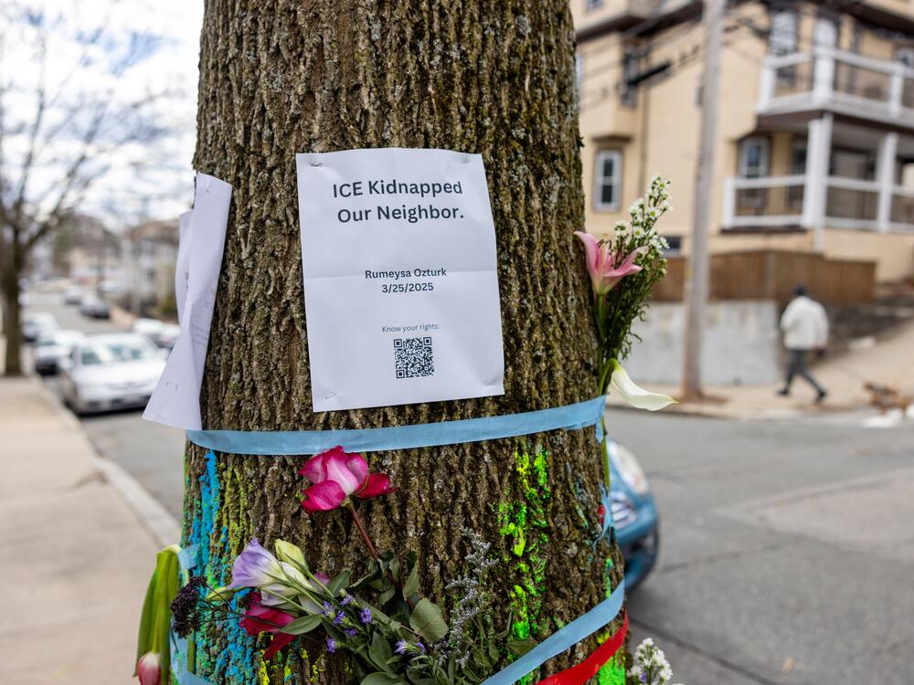 Signage and flowers are placed on a tree next to where ICE agents apprehended Tufts University graduate student Rumeysa Öztürk on March 25 in Somerville, Mass.