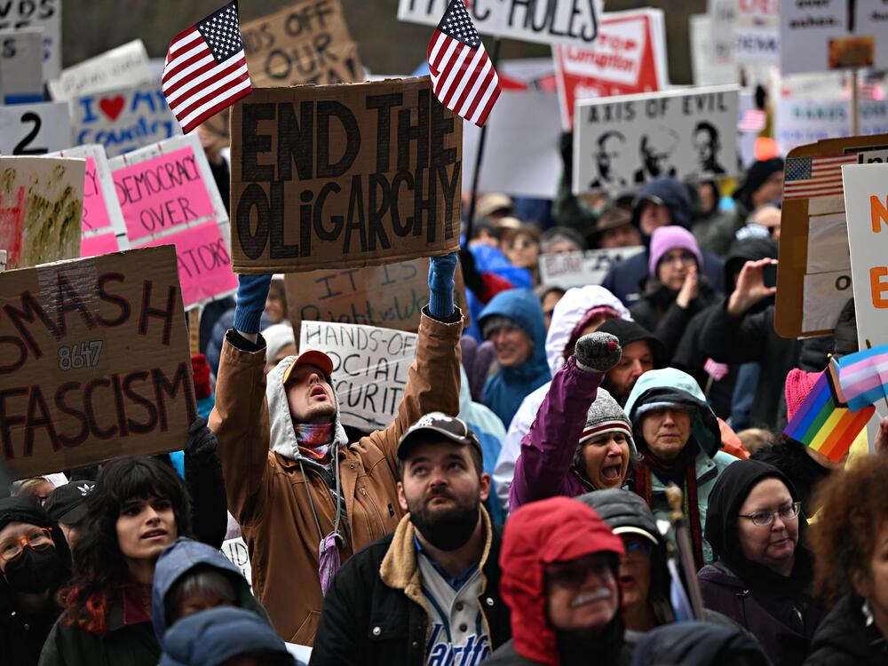 A crowd of hundreds spilled from the steps of the Connecticut State Capitol Building into Bushnell Park as protestors decried the actions of the Trump administration as part of the national 