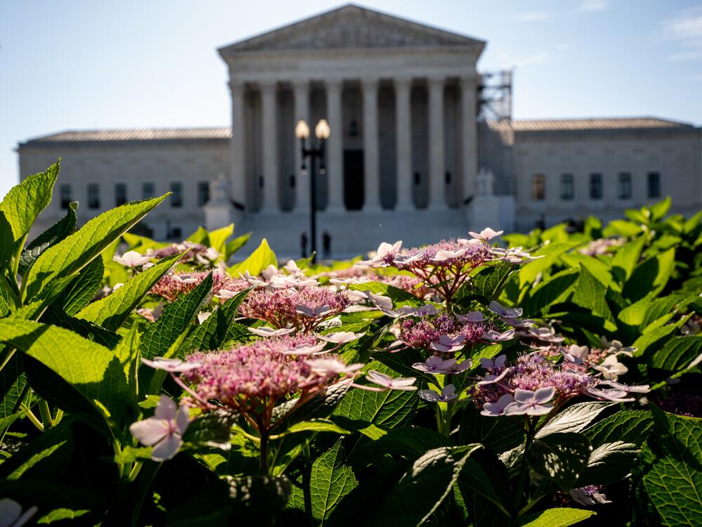 The Supreme Court hears arguments Wednesday in a case that tests whether South Carolina can remove Planned Parenthood clinics from its state Medicaid program, even though Medicaid funds cannot generally be used to fund abortions.