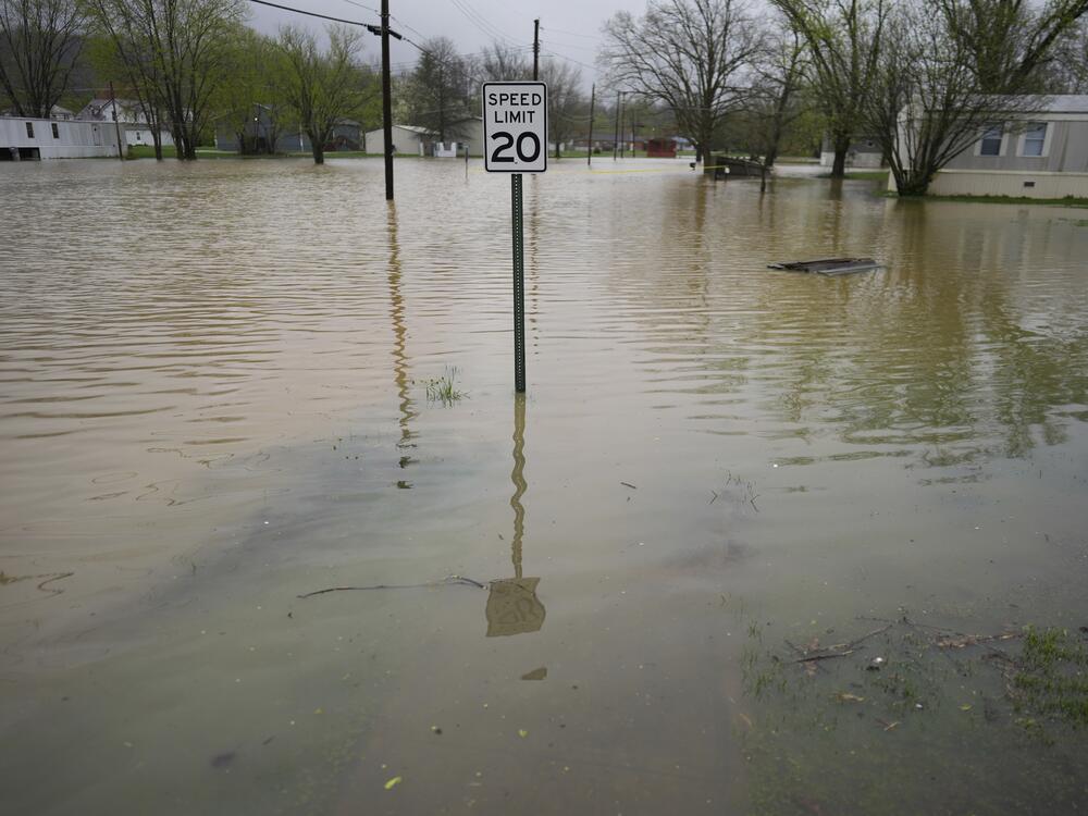 Residential streets are flooded by the rising Licking River, Sunday, April 6, 2025, in Falmouth, Ky. (AP Photo/Carolyn Kaster)