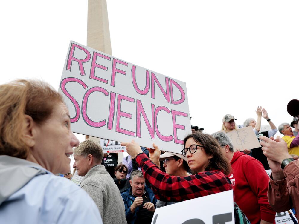 Protesters watch a series of speakers at a 