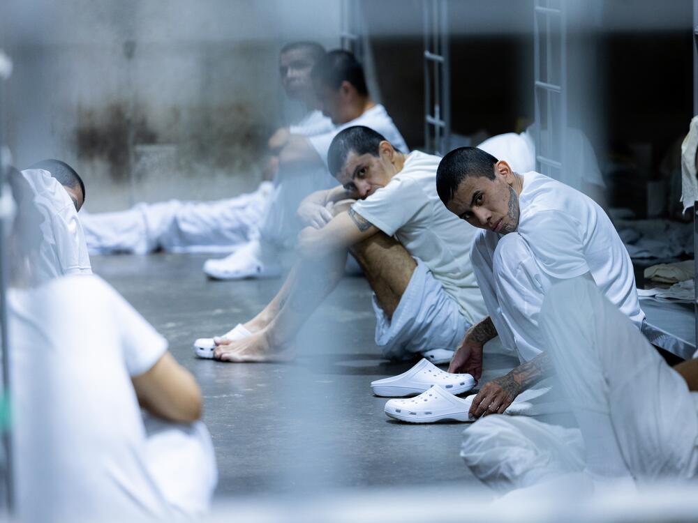 Alleged members of Venezuela's Tren de Aragua gang and MS-13 gang, who were deported to a mega-prison in El Salvador by the U.S. on March 31.