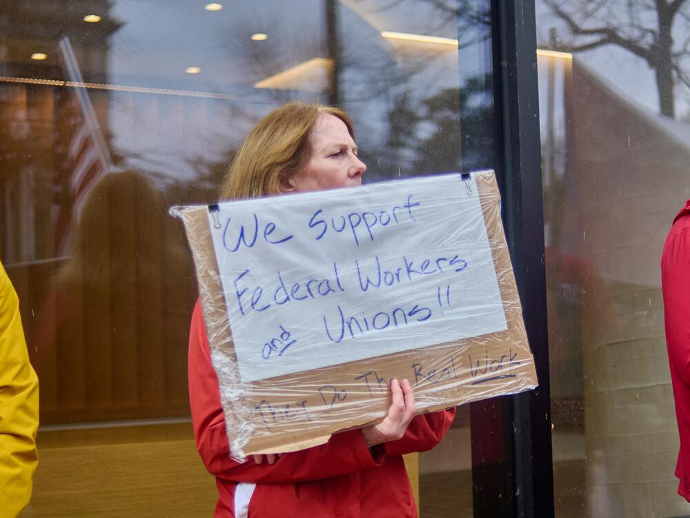 Public sectors unions are among the plaintiffs who have sued the Trump administration over the firings of probationary employees.