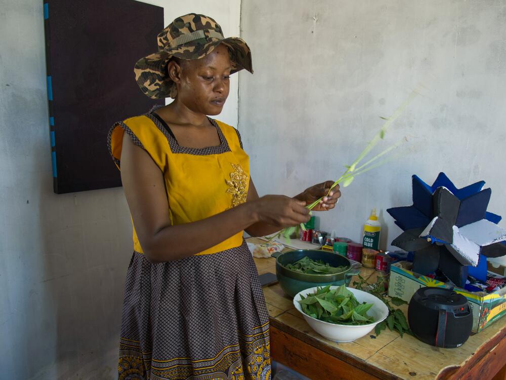 Boi Maraamele plucks leaves from the delele root to make a popular Botswanan soup.