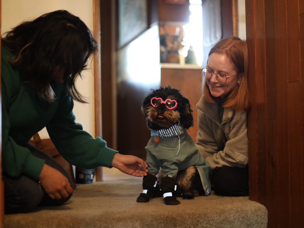 Alliana Salanguit, left, and Jesslin Wooliver, have used ample treats to train their dog, Iroh, to tolerate his mask.