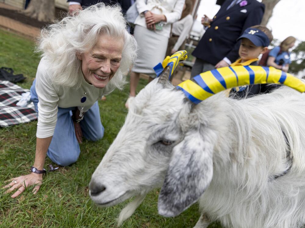 Linda Stilwell Larson, a resident of Annapolis, greets one of the Naval Academy's mascots at the match.