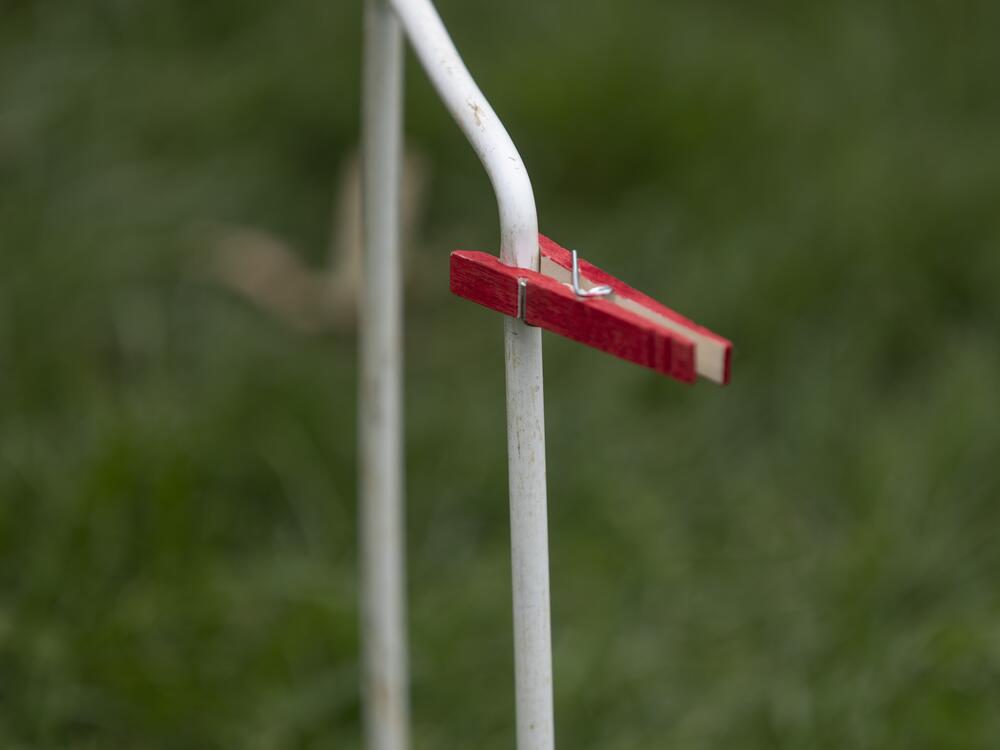 A red colored 