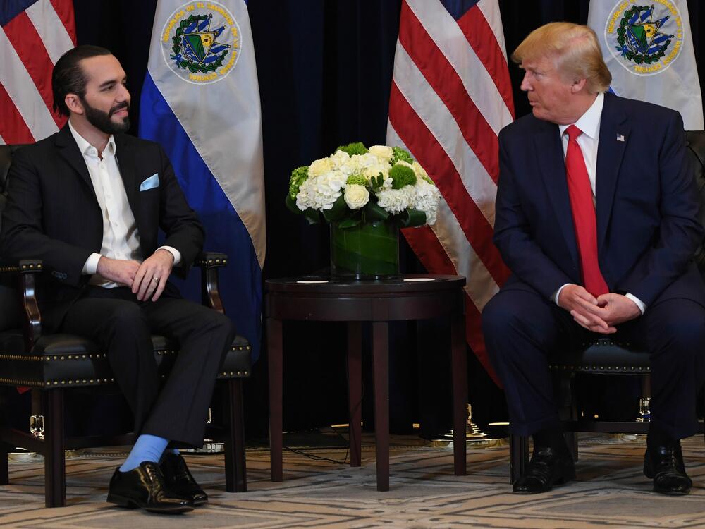 US President Donald Trump and President Nayib Bukele of El Salvador hold a meeting in New York, on September 25, 2019, on the sidelines of the United Nations General Assembly.