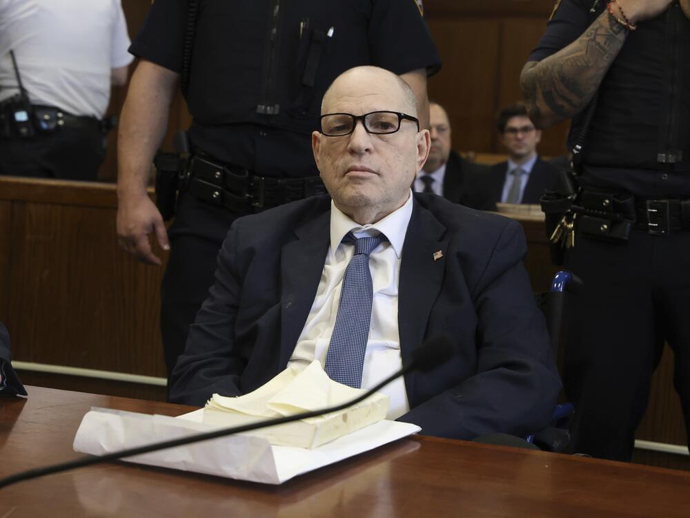 Harvey Weinstein appears in court for a pre-trial hearing on Wednesday, April 9, 2025 in New York.