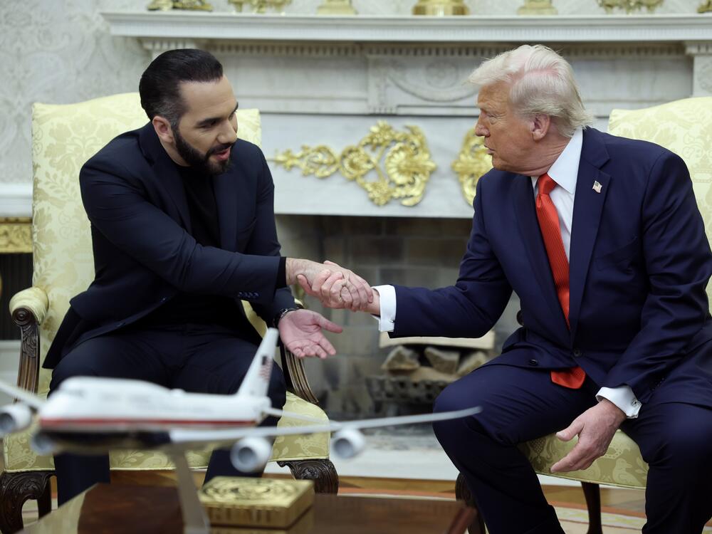 President Trump meets with President Nayib Bukele of El Salvador in the Oval Office on April 14, 2025.
