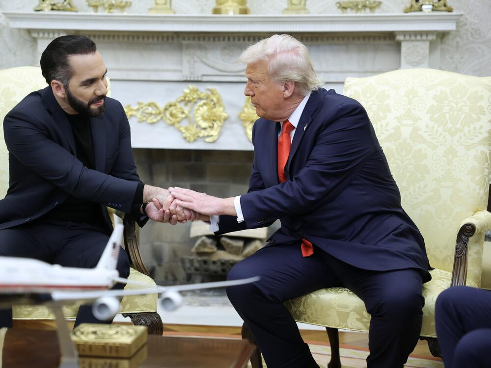 President Trump meets with President Nayib Bukele of El Salvador in the Oval Office on April 14.