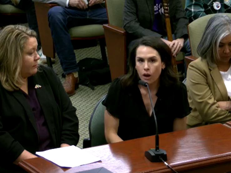 Houston resident Alexandra Hess speaks to a committee in the Texas Legislature about her late brother's mental health crisis and use of THC.