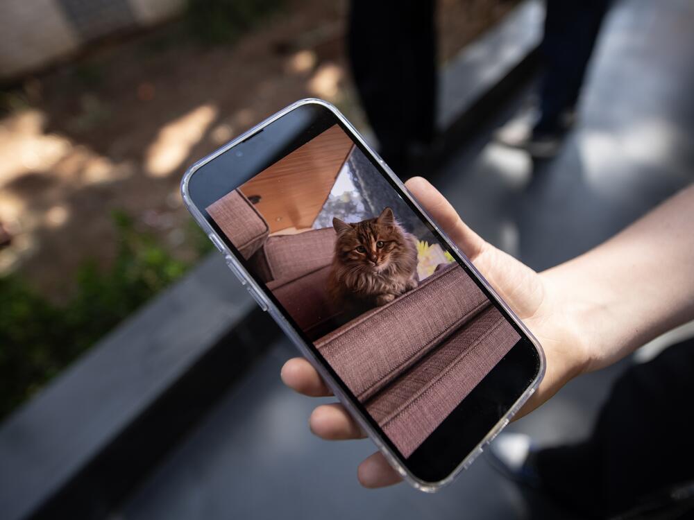 A woman shows the White Helmets a photo of her cat that needs to be rescued from atop a tree in Damascus on March 31.