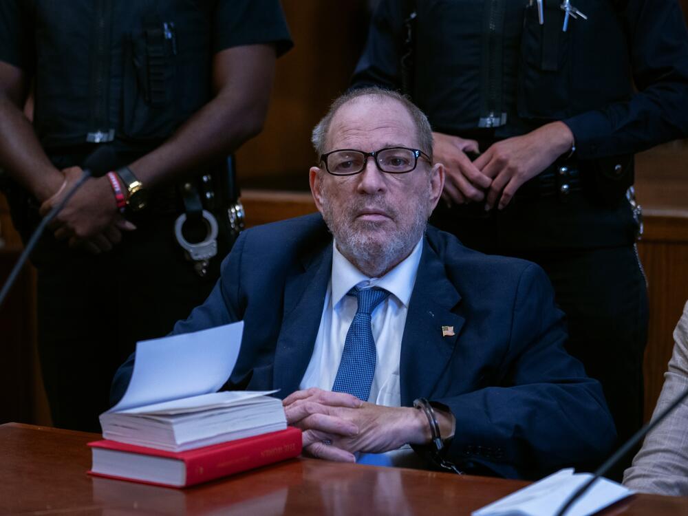 Harvey Weinstein is arraigned in court on September 18, 2024 in New York City, pleading not guilty to a new sex crimes charge.