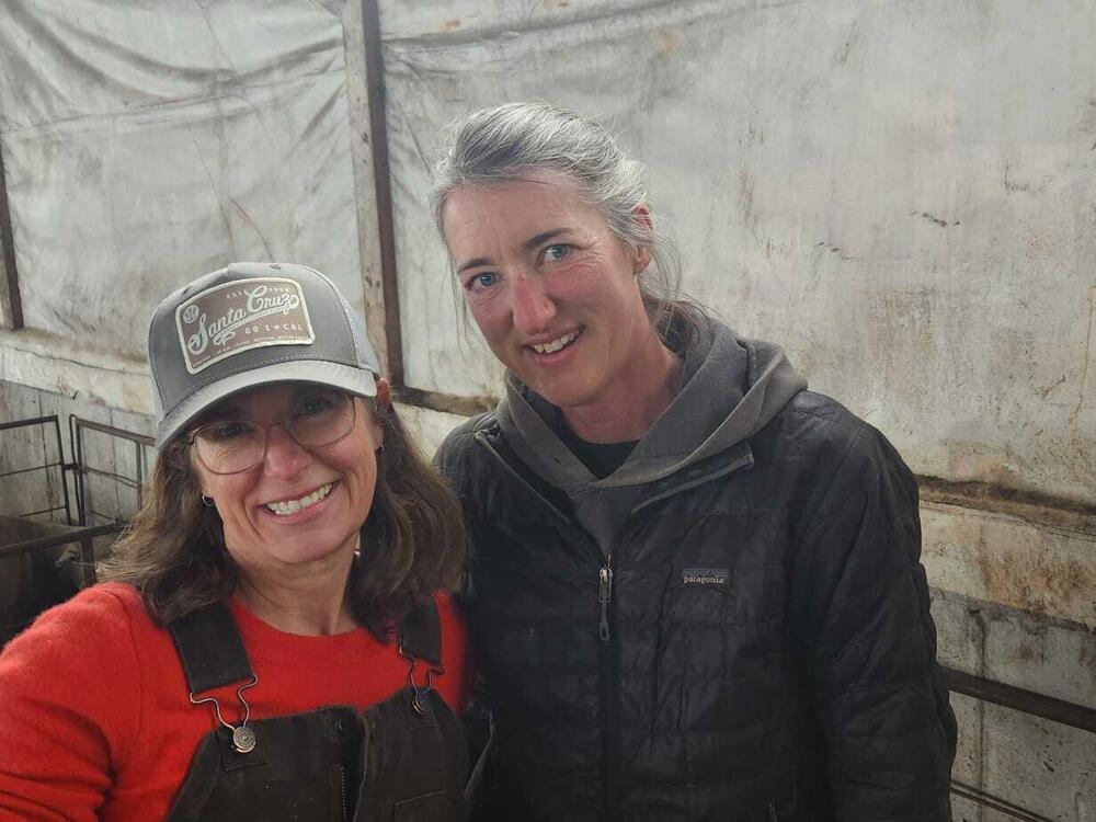 Lambing is hard and messy.  The hours are long.  The nights and early mornings can be frosty cold.  But Kristin Kimball and farm hand Anne Brown say this work and new life are joyful.