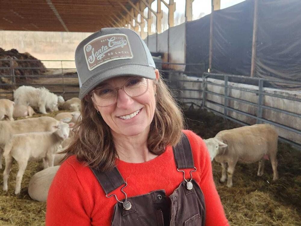 Kristin Kimball has grown her flock over the last decade from a dozen sheep to more than 250 animals. During lambing season, her day begins before dawn and ends long after dark, but she describes it as a joyous time.